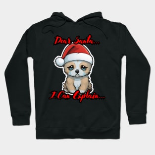 Dear Santa I Can Explain Puppy Hoodie